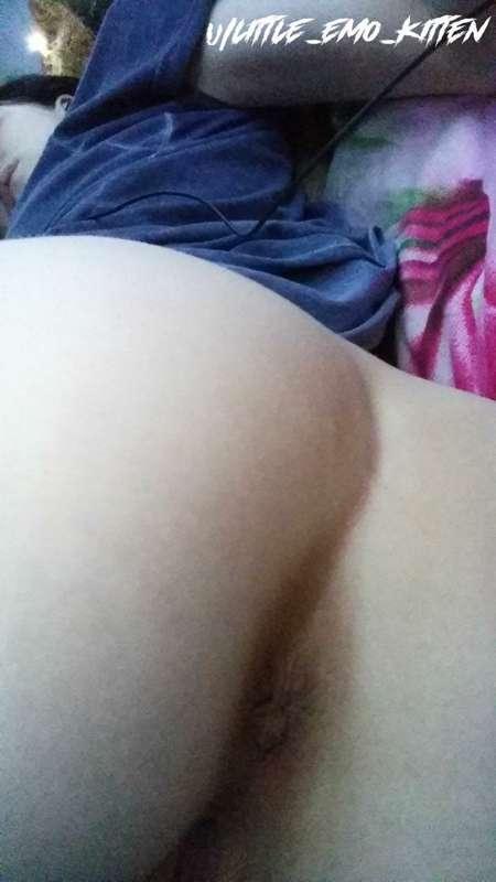 little_emo_kitten image #4