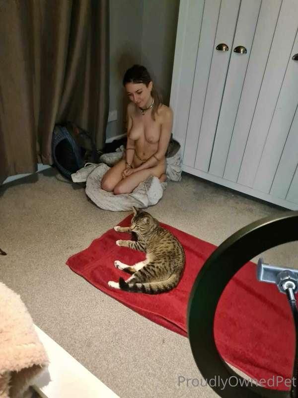 Master sent this animal to a friend's for the night yesterda..