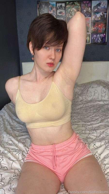 sofinikum image #1