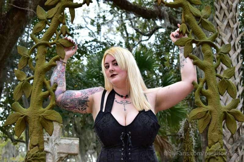 paradox_5683 image #24