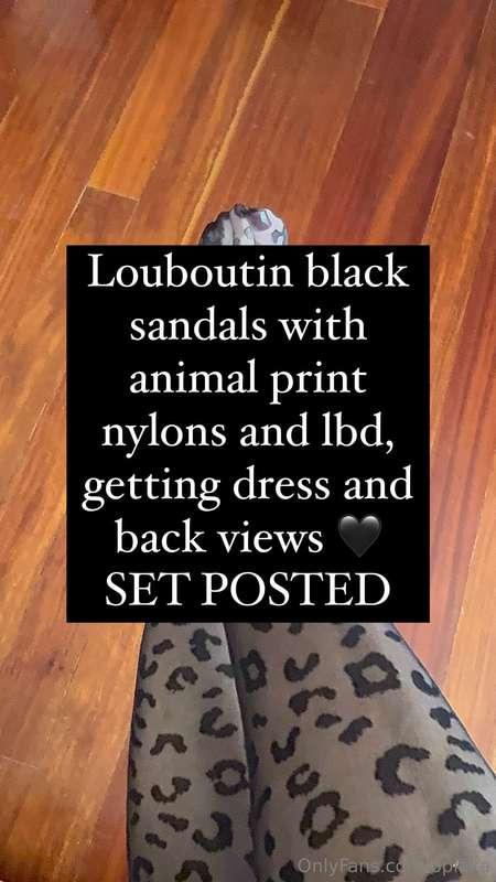 Louboutin black sandals with animal print nylons and lbd, ge..
