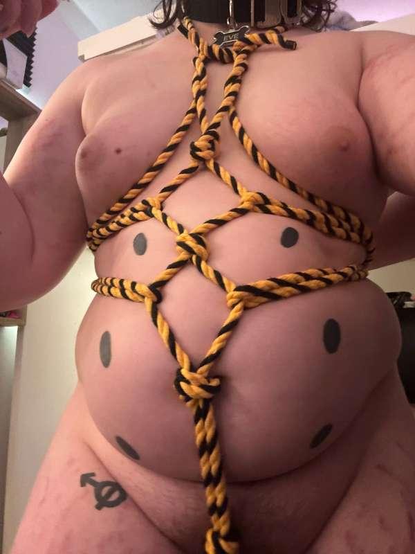 pupc0ded image #1