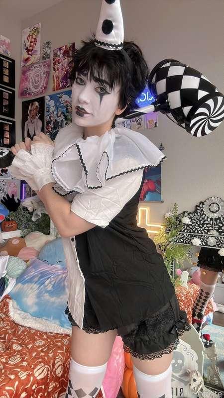 indigowhite image #66
