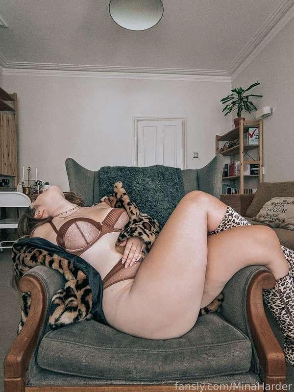 minaharder image #13
