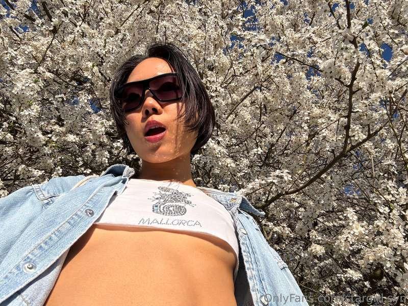 stargirl.syn image #0