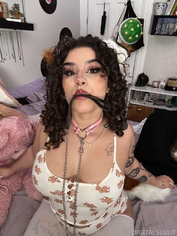 bunnisluut image #20