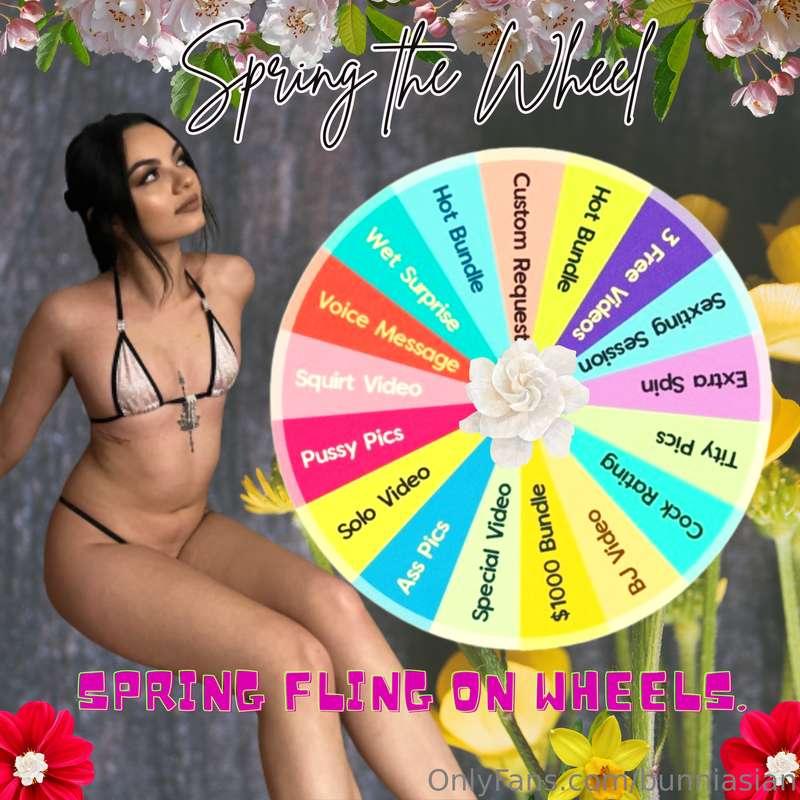 SPIN THE WHEEL is back!! 💫

Join my campaign and let’s make ..