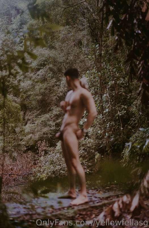 Forest encounters