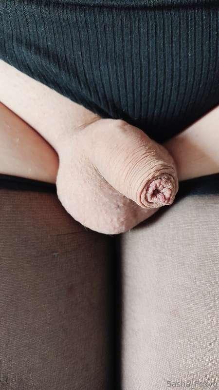 sasha_foxyq image #1