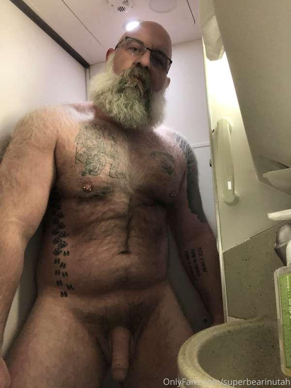 Airplane bathrooms are just too small for this big bear.