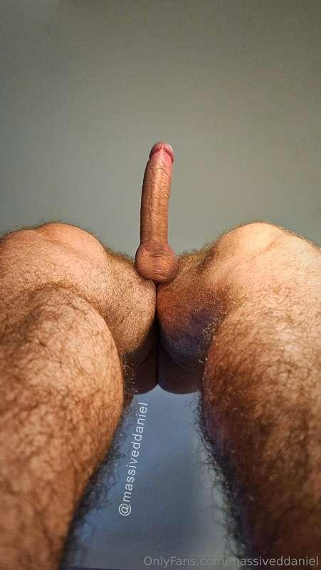 massiveddaniel main image