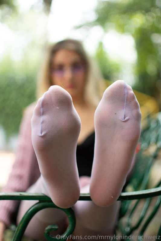 mrnyloninderschweiz image #0