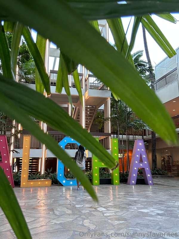 Aloha! Friends! 😘 🏝️