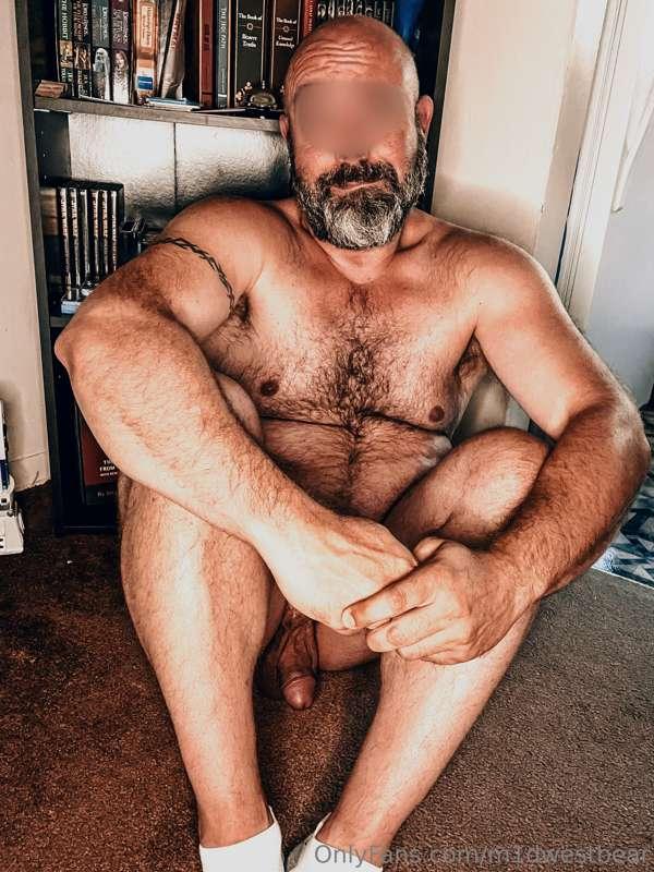 m1dwestbear image #0
