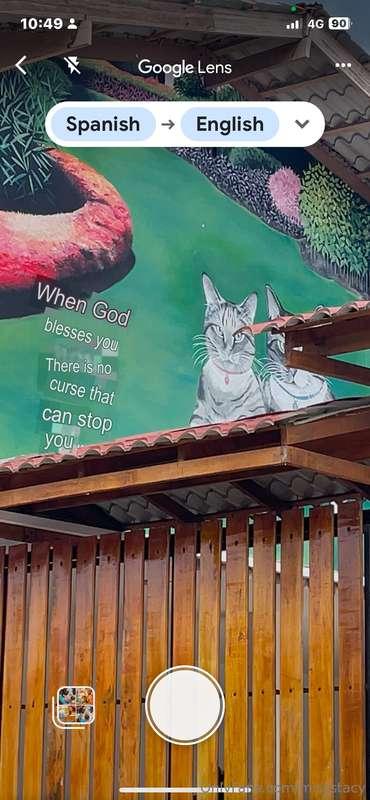 Gotta love google translate app 😂 What a cool quote 👀 💭 🥰 🐈