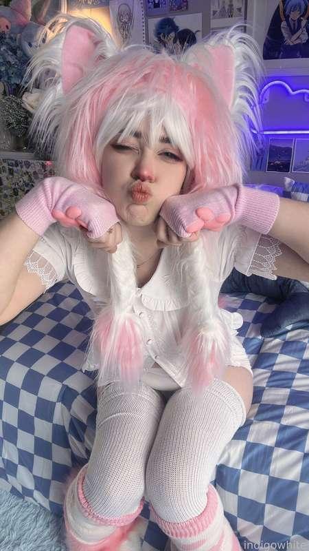indigowhite image #145