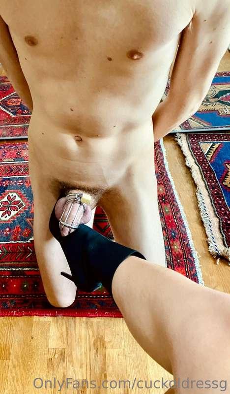 A quick cage check before heading out to fuck my bull
