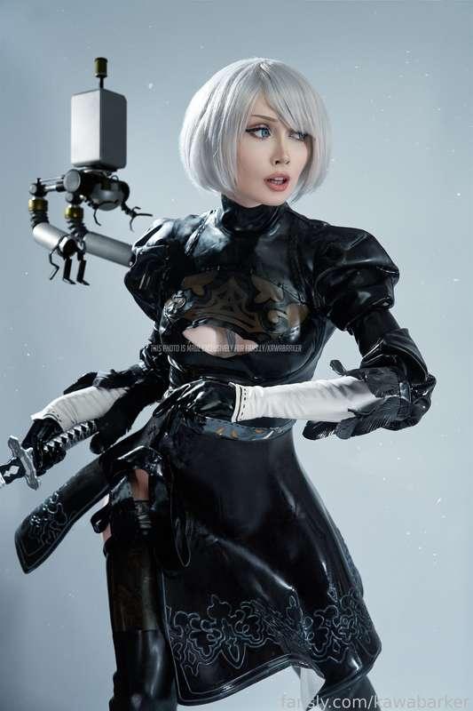 kawabarker image #4