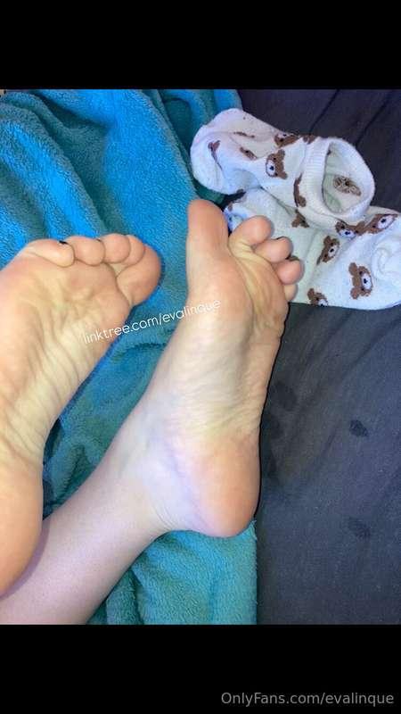 11/24🥰🎄