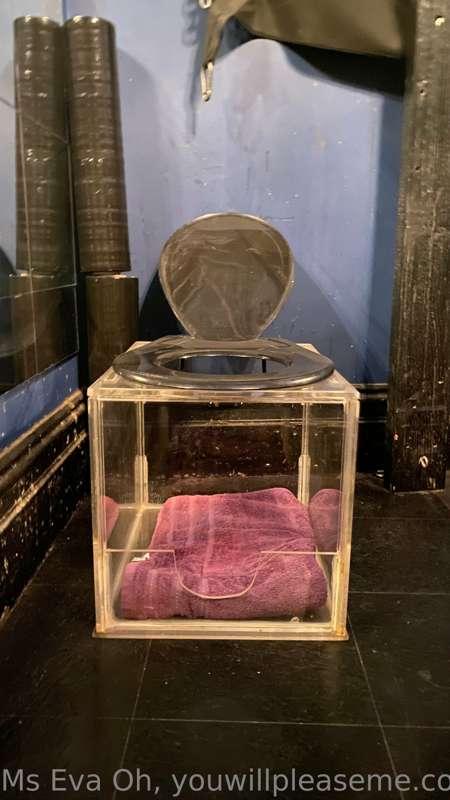 Does anyone know what this is?