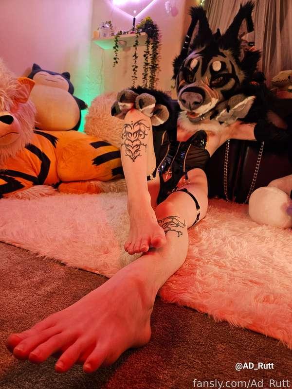 Come worship me❤️‍🔥😈


#murrsuit #murr #succubus #tattoos #piercings  #furry #fursuit #puppy #puppygirl  #cosplay 