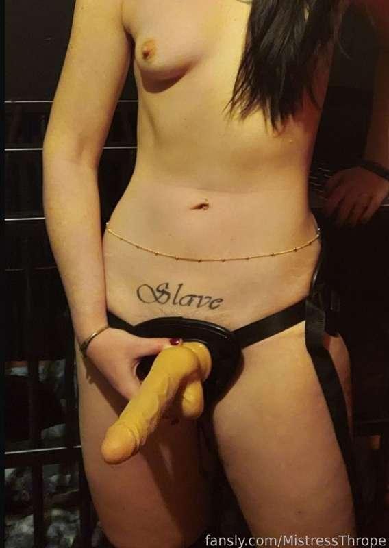 For this week's survey question... choose ONE. 
You can Suck it OR Fuck it. 
What kind of a dirty, nasty bitch are you? 

Live Streaming Saturday at 11 AM EST. Have a wonderful weekend, freaks. 

#fyp #femdom #strapon #pegging #forcedbi #domination #poll #survey #domme #mistress 