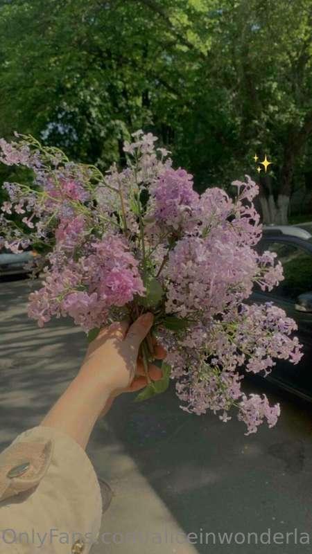 If you only knew how much I love flowers💐
Even those that gr..