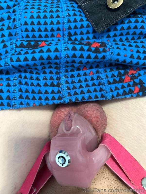 The cutest cage I’ll ever have can’t wait to be permanently ..