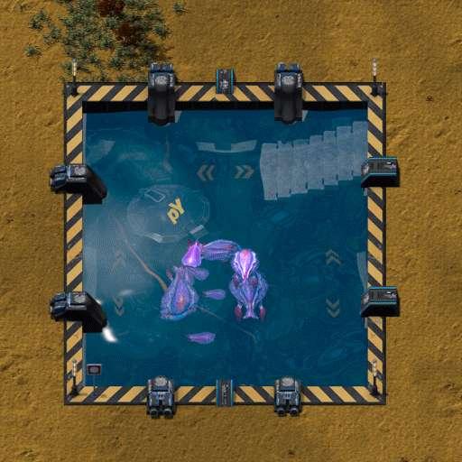 Dhilmos poll
