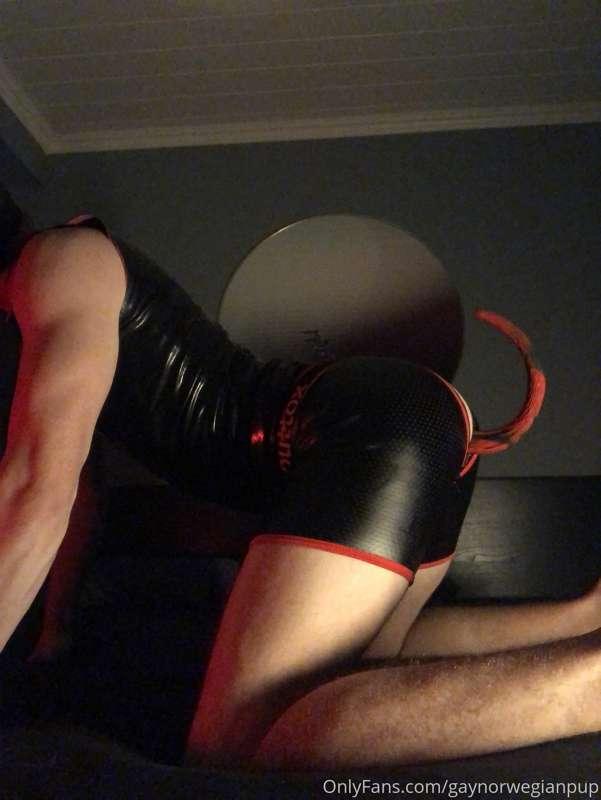Puppy butt🍑🖤