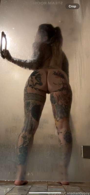 canadiangypsy image #0