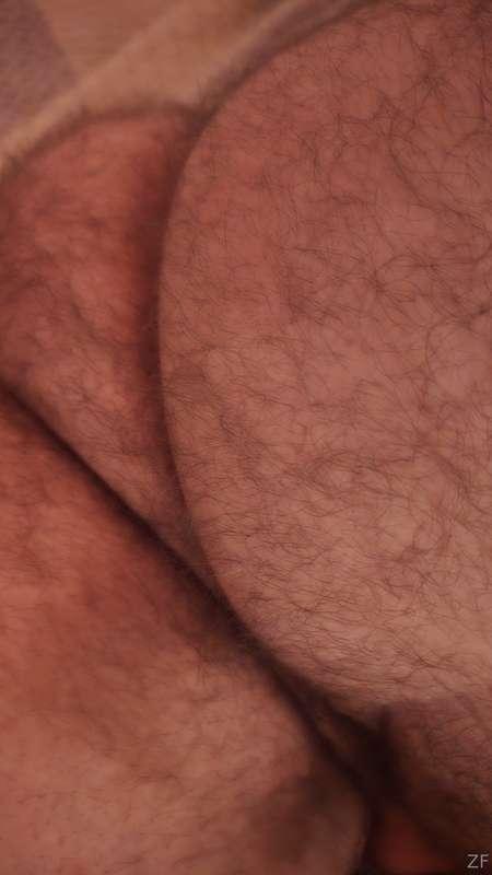 zanefitzgerald image #3