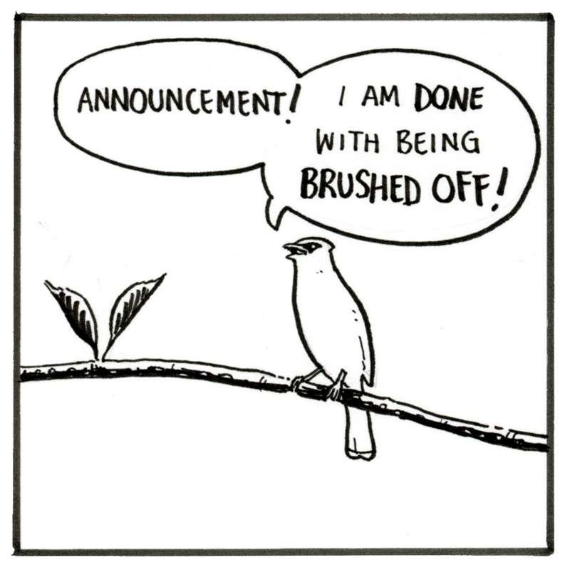 Brushed off
