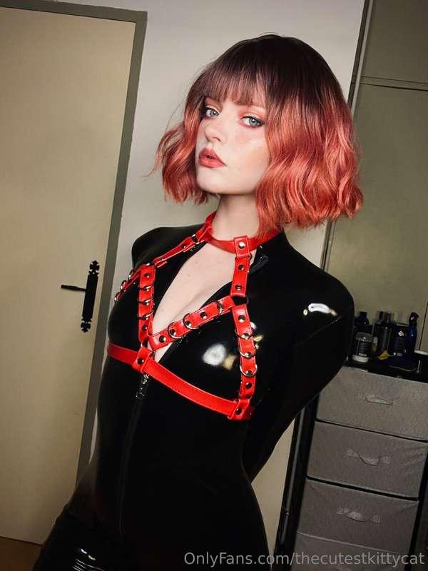 thecutestkittycat image #14