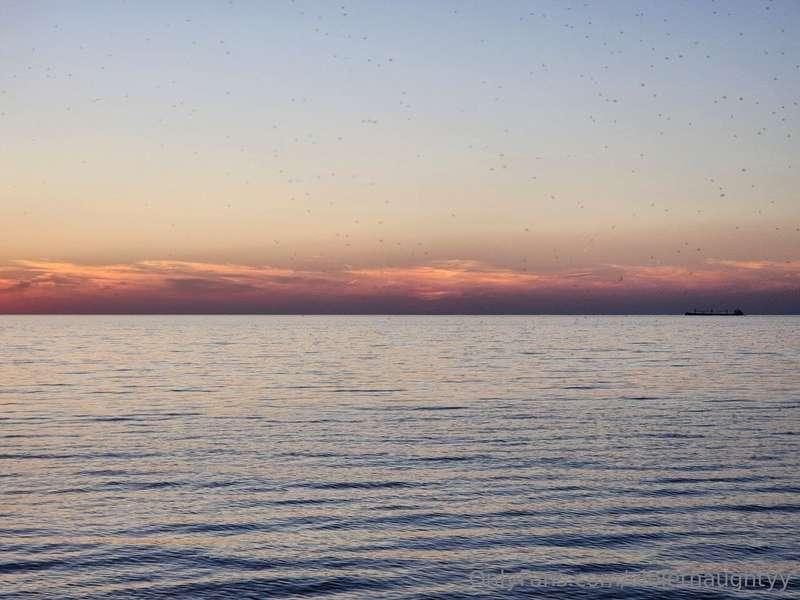 violetnaughtyy image #1