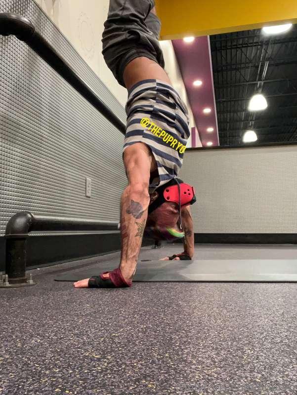 Workout puppy getting his sweat on and then rinse off. Don’t..