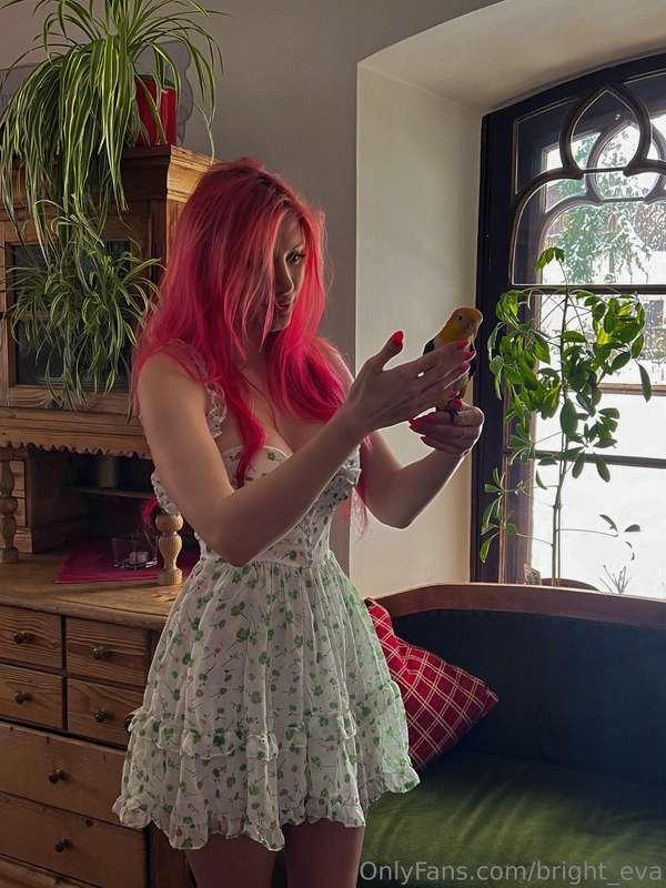 Who is cuter in this photo, me or the parrot?🤭