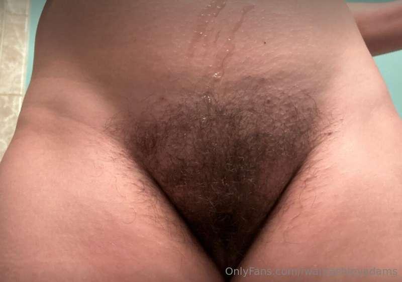 should i keep little Ashley bushes?