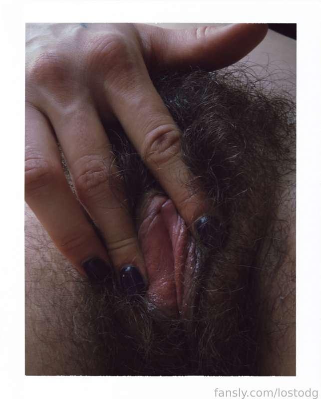 lostodg image #0