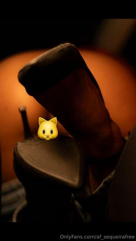 af_sequeirafree image #1