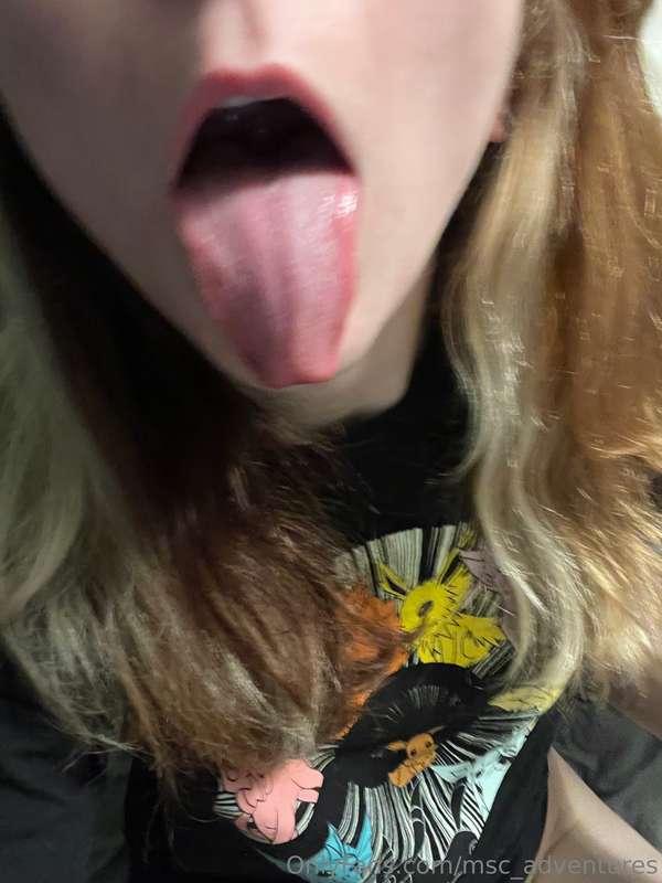 msc_adventures image #1