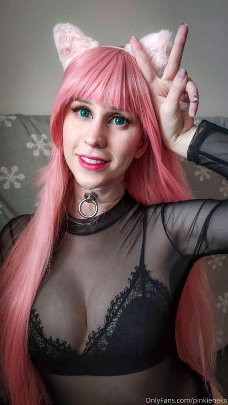 pinkieneko image #7