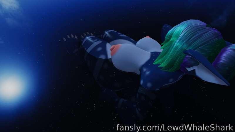 lewdwhaleshark image #3