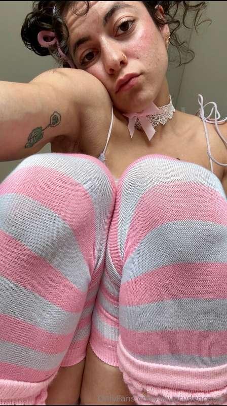 tinyprudencevip image #0