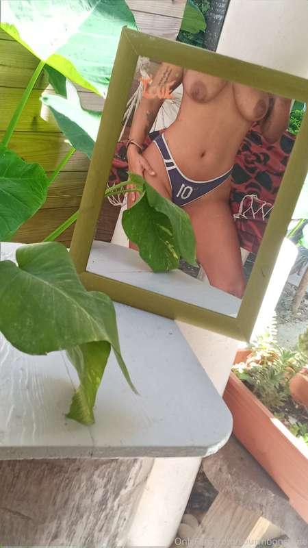 🌱🍀🌴