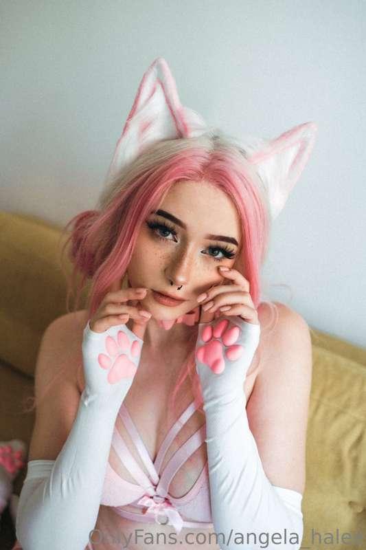 Be careful with kitty, she's really playfull today :3