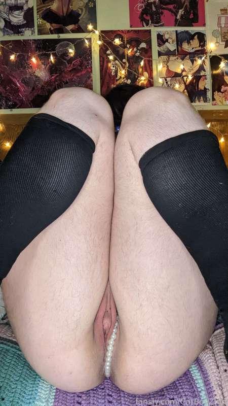 catboyzion image #14