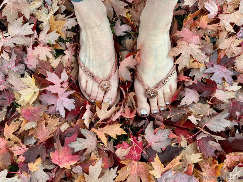 The leaves are starting to fall! They’ve been so beautiful t..