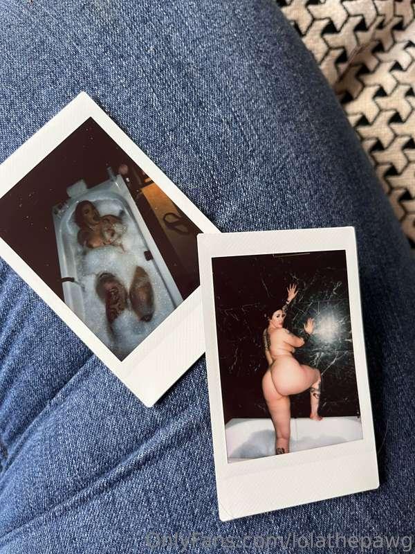 lolathepawg image #1