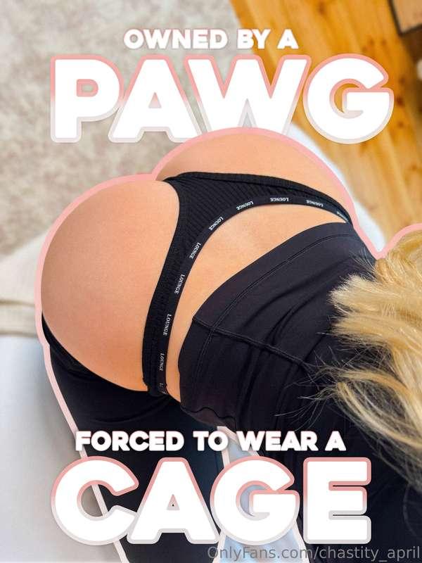 What do you think to some captions I made? and which is your..